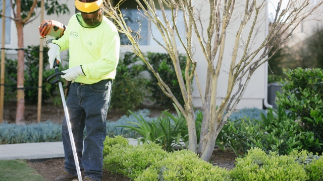 Landscape Maintenance Made Easy: Elevating Your Commercial Landscaping Game