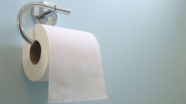 Unraveling the Myths: The Ultimate Guide to Toilet Paper