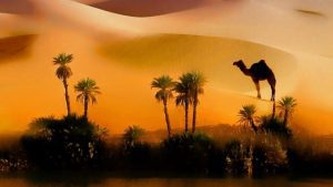 Unveiling the Mysteries of the Sahara: Nature’s Endless Tapestry