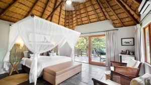 Wilderness Escapade: Embark on a Luxurious Safari Journey