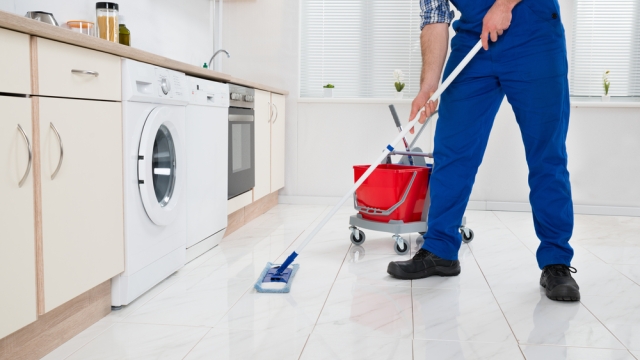 The Ultimate Guide to Sparkling Homes and Spotless Businesses: Mastering House Cleaning for Residential and Commercial Spaces