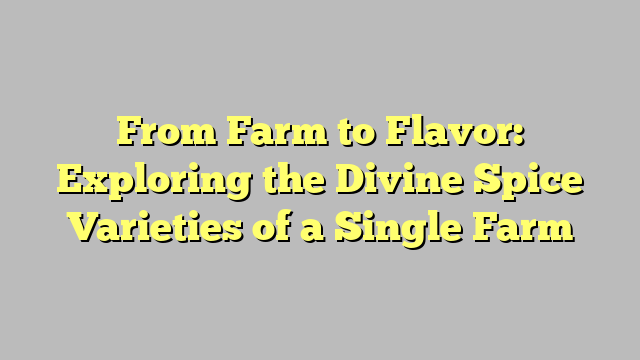 From Farm to Flavor: Exploring the Divine Spice Varieties of a Single Farm