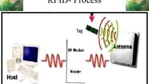 Unleashing the Power of RFID: Revolutionizing Connectivity and Efficiency