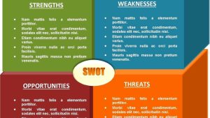 Unveiling the Hidden Risks: A SWOT Analysis of Privacy Risk Assessment