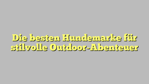 Die besten Hundemarke für stilvolle Outdoor-Abenteuer