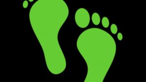 Step Into Comfort: Exploring Forest Hills Podiatry