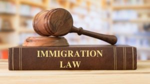 Navigating the Path: Demystifying Immigration Law