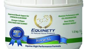 Revitalizing Mane & Muscle: Exploring the Power of Horse Health Supplements