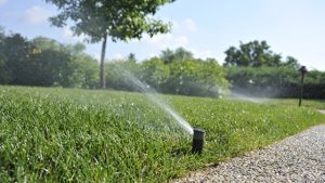 The Art of Efficient Irrigation: Mastering the Installation Game