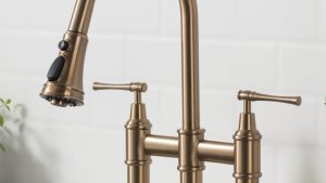 Pipe Dreams: Unveiling the Secrets of Plumbing