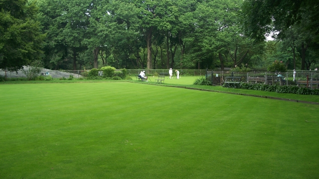 The Green Thumb’s Guide to Perfecting Your Lawn Care Routine