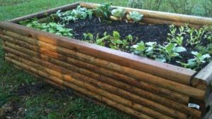 Blooming Bliss: Unleashing the Magic of Garden Beds