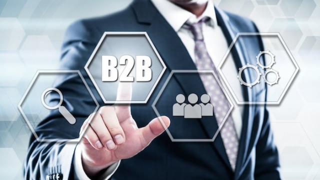 Unlocking Success: Strategies for B2B Growth