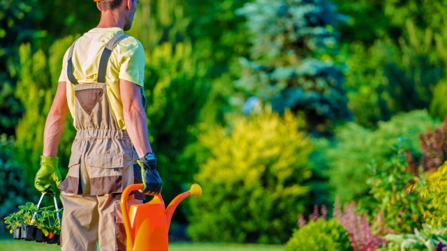 Green Thumbs Up: Clever Gardening Tips for Thrive and Bloom!