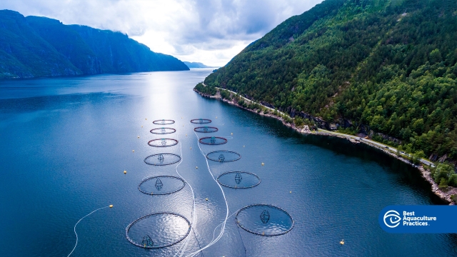 Revolutionizing Waters: The Future of Aquaculture Technology