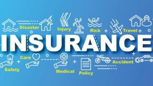 Securing Green: The Essential Guide to Cannabis Insurance