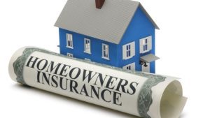 Insuring Your Future: A Guide to Choosing the Right Insurance Agency