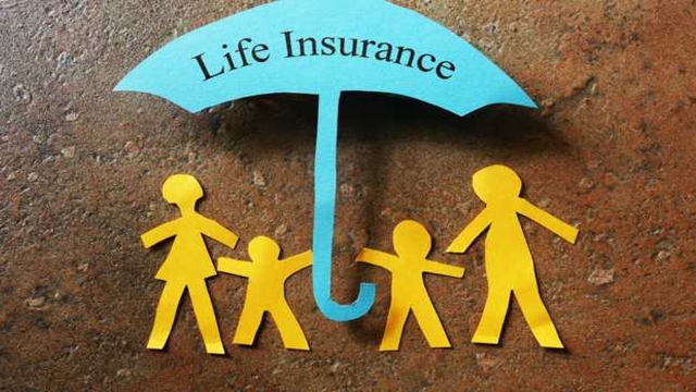 Insuring Your Peace of Mind: Navigating the World of Insurance